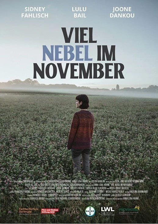 VIEL NEBEL IM NOVEMBER