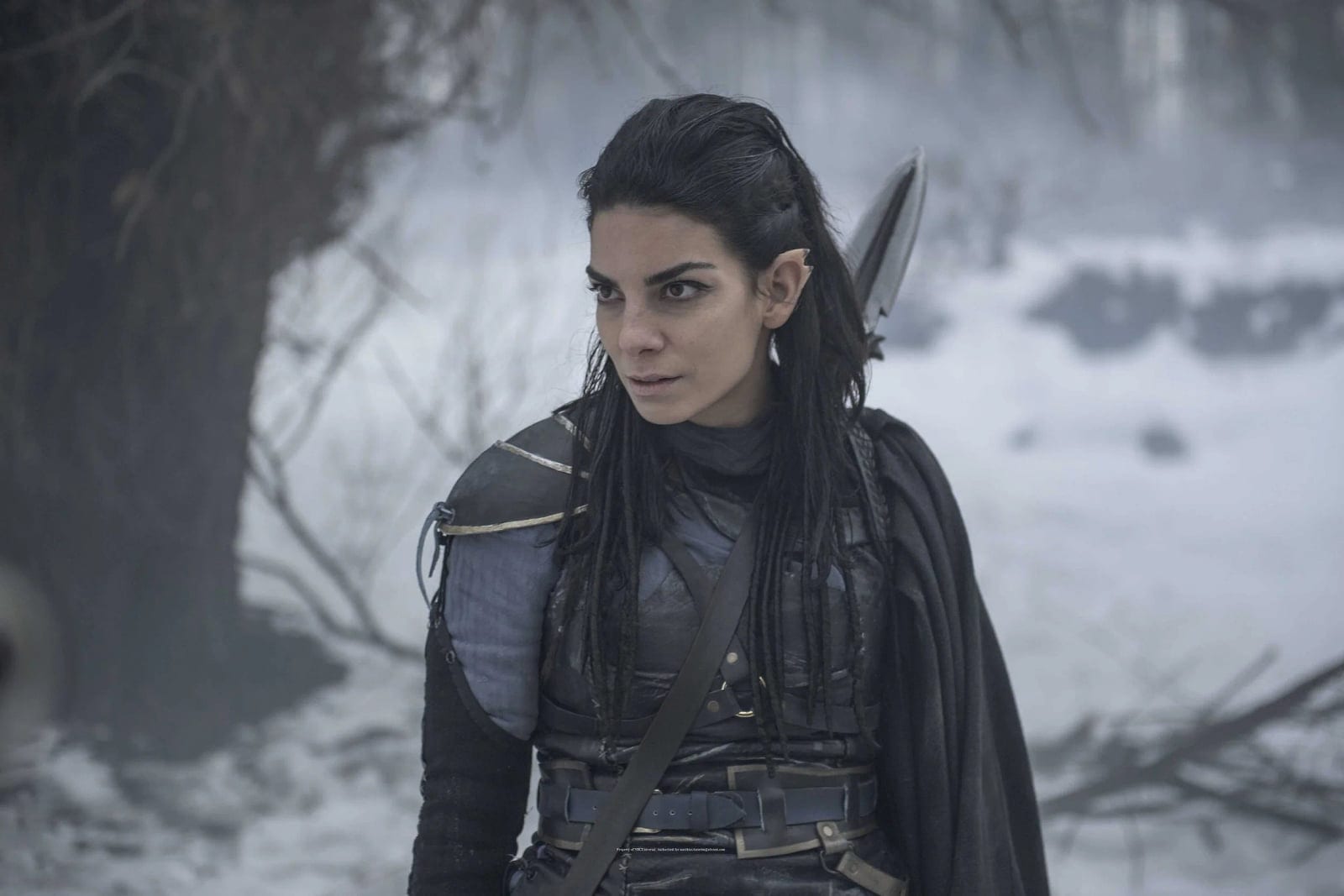 The Outpost Staffel 2